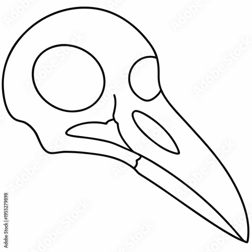raven skull with beak detail line art vector illustration on transparent background