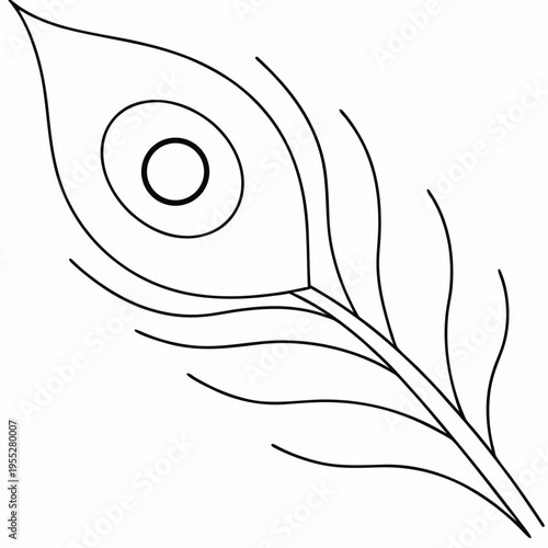 peacock eye feather close up line art vector illustration on transparent background
