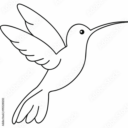 hummingbird tongue extended line art vector illustration on transparent background