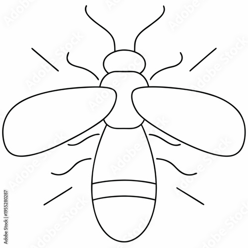 firefly with glowing abdomen outline only line art vector illustration on transparent background