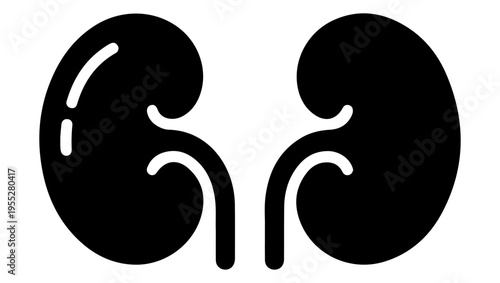 A simple illustration depicting two human kidneys with visible ureters