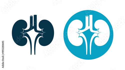 Human kidney anatomy organ icons set
