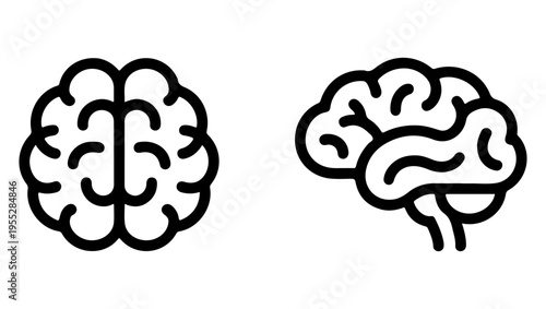 Two stylized brain illustrations one symmetrical and one asymmetrical design