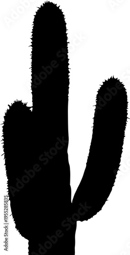 Black silhouette cactus vector illustration