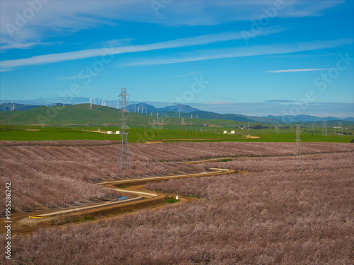 Almond Field in Tracy with Windmills as the Background, California