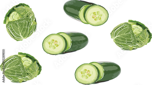Fresh Green Cabbage Heads and Sliced Cucumbers, Realistic Healthy Vegetables Illustration for Cooking, Salad, Organic Produce