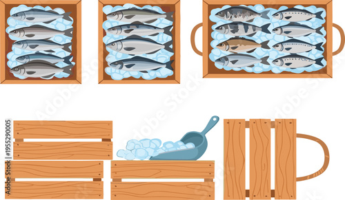 Fresh Fish on Ice Vector Set with Wooden Crates, Scoops, and Seafood Display Illustrations