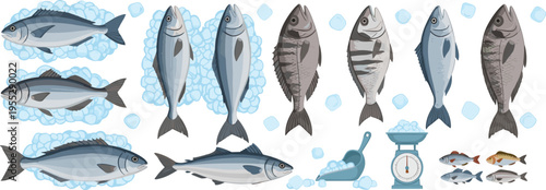 Fresh Fish Seafood Market Set with Whole Fish on Ice Wooden Crates Scale and Seafood Storage Vector Illustration Collection