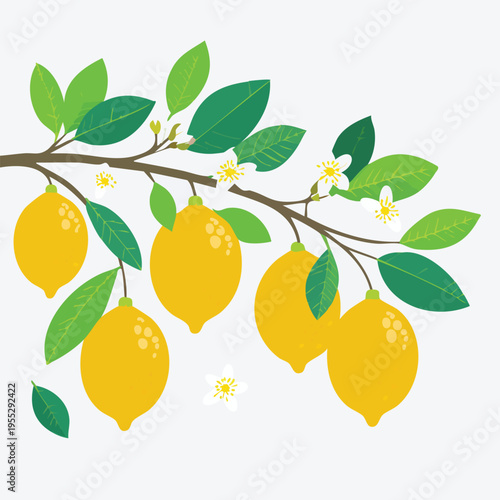 Vibrant illustration of a lemon branch with ripe fruit and green leaves