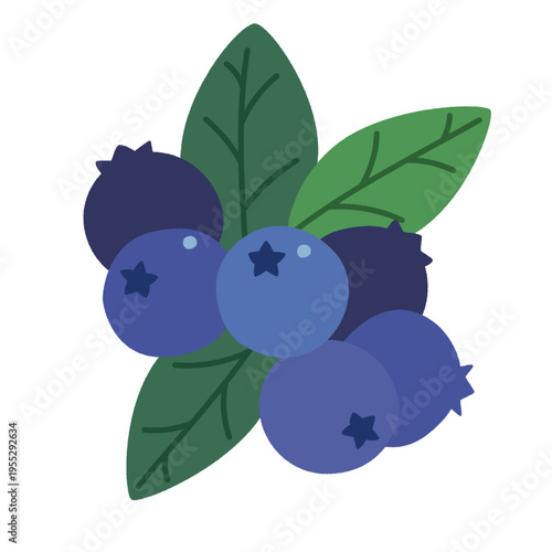 ブルーベリーのイラスト