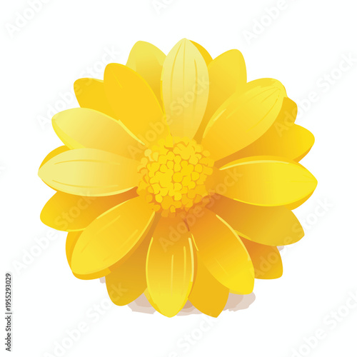 Vibrant yellow flower isolated on white background botanical illustration