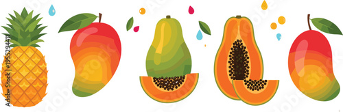Tropical Fruit Collection with Pineapple Mango Papaya Slices Fresh Exotic Summer Food Bright Colorful Vector Illustration Set