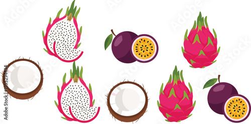Tropical Exotic Fruit Vector Set – Dragon Fruit, Passion Fruit, Coconut, Bright Colorful Summer Food Illustration