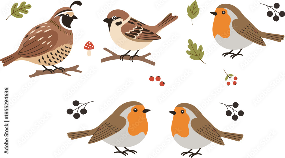 Obraz premium Forest Bird Collection with Sparrow Robin and Quail Cute Wildlife Animals and Nature Elements Cartoon Vector Illustration Set