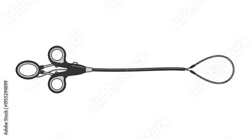 Laparoscopic grasping instrument with a looped wire snare at the end of a long shaft, featuring finger ring handles for manipulation.