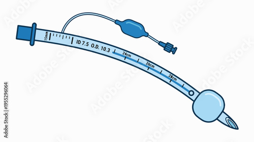 A cartoon illustration of an endotracheal tube, a medical device used for airway management and mechanical ventilation, featuring measurement markings and an inflatable cuff.