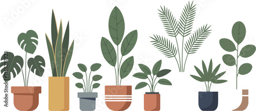 Set of potted houseplants in various pots, perfect for home decor, indoor gardening, and botanical design flat vector illustration