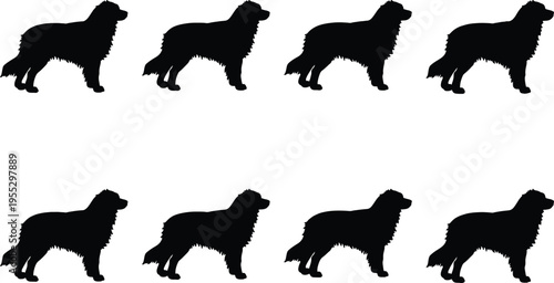 Eight identical black silhouettes of a fluffy, long-haired dog stand side-by-side on a white background.