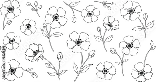 Hand drawn black and white floral line art collection featuring elegant wildflower blossoms and garden buds isolated on white background for botanical vector design