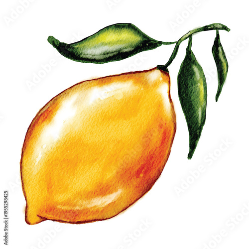 red yellow lemon fruits with green leaf. Hand drawn watercolor illustration, isolated on white background