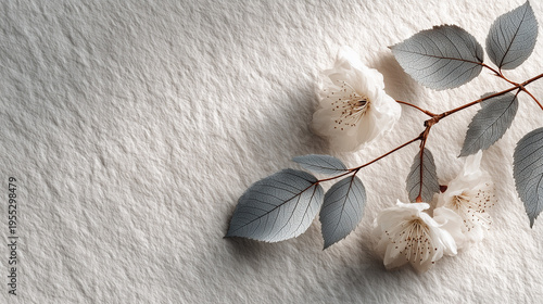 Elegant White Flowers and Skeleton Leaves, Textured Background
