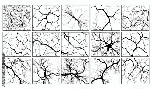 Set of fifteen abstract tree branch and root system silhouettes in square frames isolated on white background vector