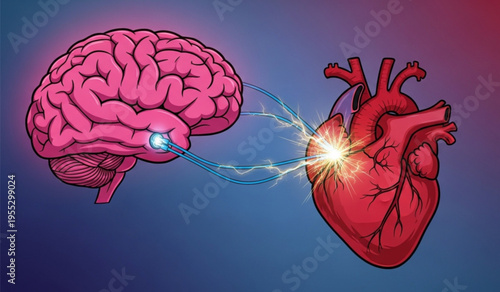 Illustration showing brain connected to human heart with electrical impulses depicting mind and body connection