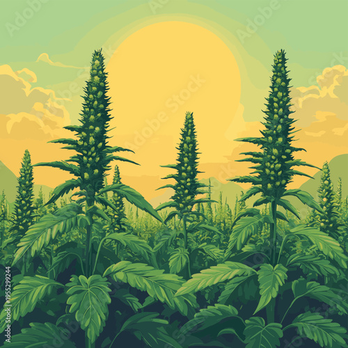 Sunset over a vast field of tall plants with large, green buds, bathed in golden light , vector style simple color