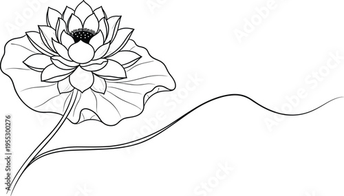 Elegant lotus flower line art, botanical floral design cad drawing flat vector illustration isolated decorative nature bloom