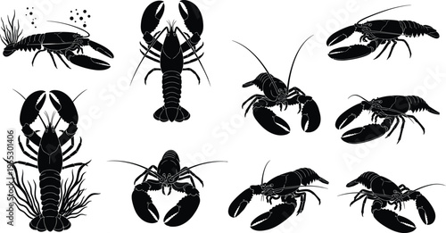 "Collection of nine black lobster silhouettes in various poses including top-down and side views with claws raised, underwater elements, seaweed, bubbles, and marine design"