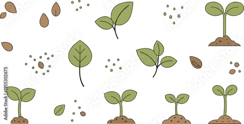 Seed germination stages diagram with sprouting plant growth leaves soil and seeds biology education vector illustration set