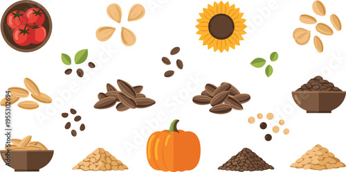 Seeds and agricultural food ingredients vector set featuring sunflower pumpkin grains spices and organic products in flat illustration collection