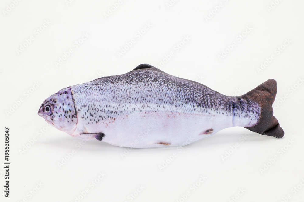 Fototapeta premium Salmon-Shaped Pet Toy
