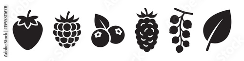 Berry Fruits and Leaf Silhouette Icon Set. Strawberry, Raspberry, Blueberry, Currant and Nature Symbols.
