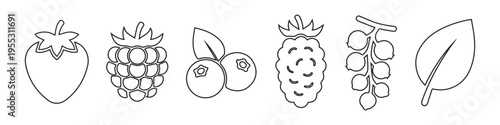 Berry Fruits and Leaf Silhouette Icon Set. Strawberry, Raspberry, Blueberry, Currant and Nature Symbols.