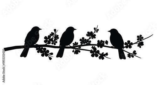 Three birds perched on a flowering branch a striking silhouette