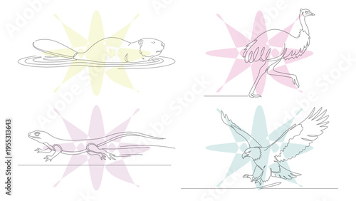 Minimalist Single Line Art Animal Collection: Frog, Ostrich, Lizard, and Eagle Illustrations