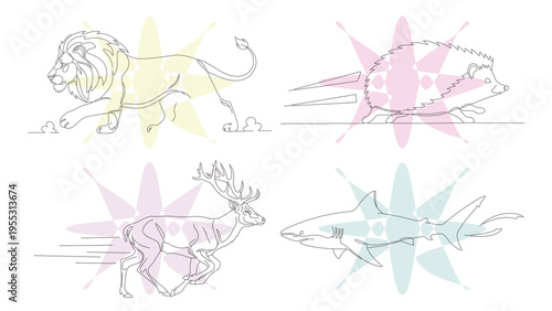 Minimalist Single Line Art Animal Collection: Lion, Hedgehog, Deer, and Shark Illustrations with Geometric Backgrounds