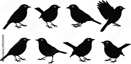 Small songbird silhouette collection of robin sparrow or finch species in various perched and flying poses set, cad drawing flat vector illustration, isolated on white.