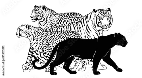 Detailed illustration of four big cats leopard cheetah tiger and panther walking together black and white line art on plain background