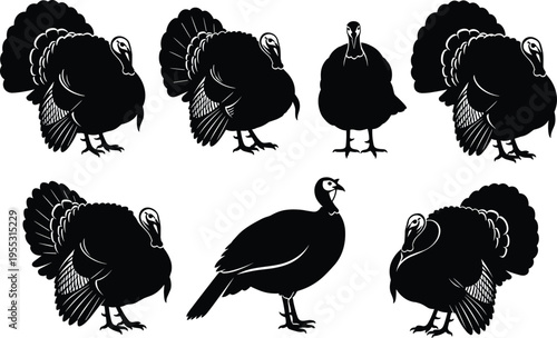 Turkey silhouette vector illustration set, Thanksgiving bird icons, black poultry character collection, cad drawing flat vector illustration, flavector, isolated.