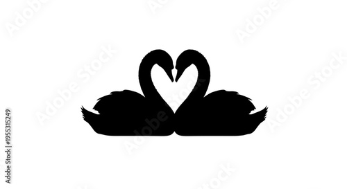 Two swans in love heart shape black silhouette romantic symbol animal illustration