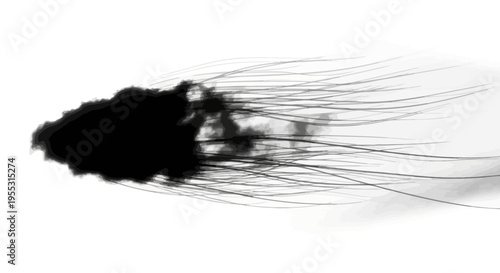 Black jellyfish with long thin tentacles on white background isolated marine animal with dark body