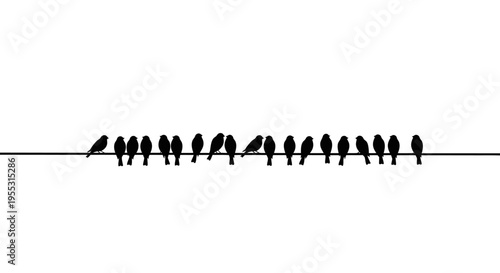 Group of black birds sitting on a thin wire against a white background symbolizing unity and togetherness in a minimalist setting