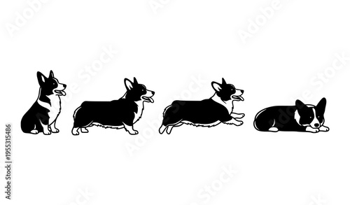 Corgi Dog Silhouette Motion Sequence Black Vector Set Showing Different Actions Isolated on White