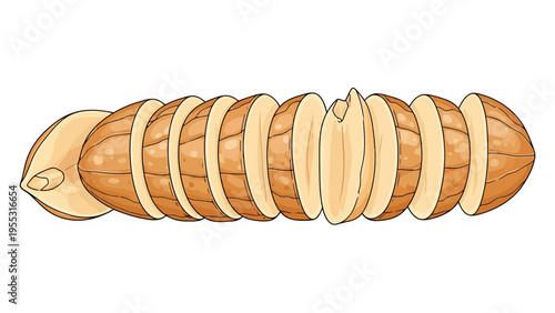 Caterpillar Larva Insect Stage.