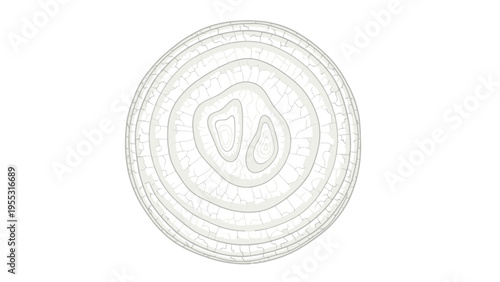 Coin with Shield Emblem.