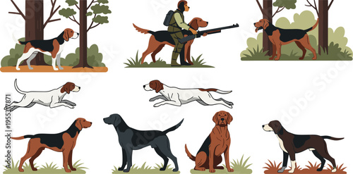 Dog adoption and rescue silhouettes with woman caring feeding and adopting dogs shelter cage love and pet care conce