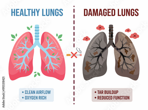 A visual guide comparing healthy, oxygen-rich lungs with those severely damaged by harmful substances, illustrating profound functional impact