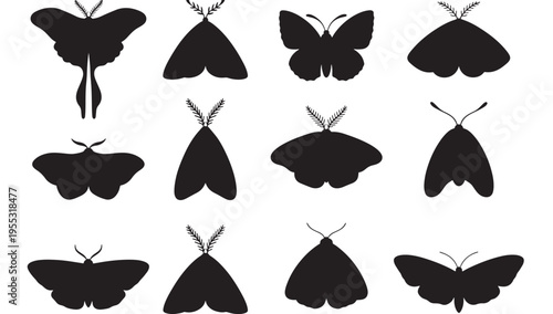 Moths diverse black silhouette icons with feathered and simple antennae, displayed in a twelve-image grid formation.